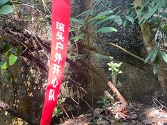 -青芝山风景名胜区