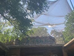 -燕塞湖鸟语林景区