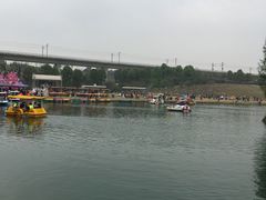 -秀丽东方