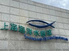 -上海海洋水族馆