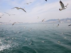 -刘公岛景区