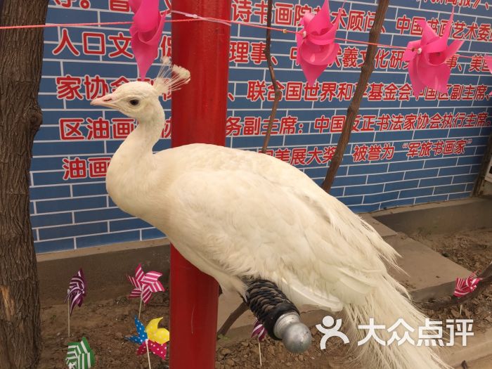 御禾动物园游乐设施图片 - 第76张