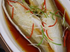 -丹水桥地锅鱼·翘嘴鲌·地方特色全鱼宴(丹江口大坝店)