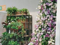 -FEI FEI FLOWER鲜花店·气球派对·宝宝宴布置(虹口德必运动Loft店)