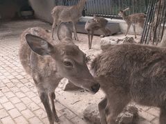 -无锡动物园·太湖欢乐园