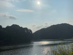 -广州市石门国家森林公园