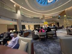 -Plush大堂酒廊(北京金融街威斯汀大酒店)