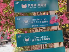 -默迹咖啡馆