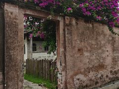 -金谷域澳洲庄园