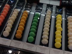 -Salon de The de Joel Robuchon(外滩18号店)