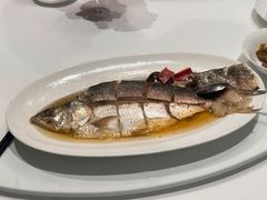 陈年花雕蒸鲥鱼-福1088