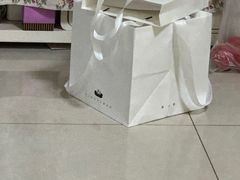 -BLACKSWAN黑天鹅(环球店)