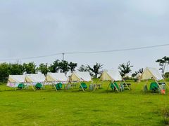 -春花秋色城市公园