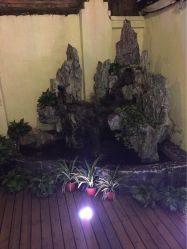 -素颜秀·纹眉·野生眉·纹唇半永久