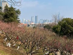 -南京古林公园