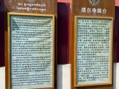 -塔尔寺-菩提树