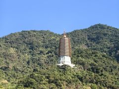 -圣廷苑酒店-世纪楼菲苑自助餐厅