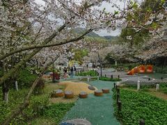 -杭州少年儿童公园