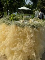 -琥珀婚礼策划AMBER WEDDING