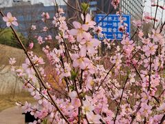 -元大都城垣遗址公园