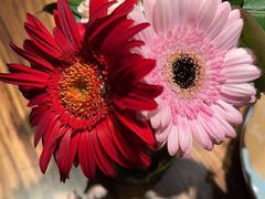 -半秋山西餐厅(销品茂店)