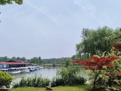 -宜兴龙背山森林公园