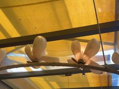 -唐猫庭院·千年陕菜(大唐不夜城店)