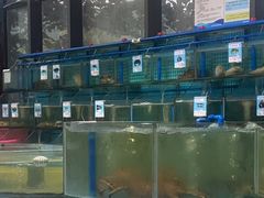 -锦里海景海鲜餐厅.三亚老字号(亚龙湾中心广场店)