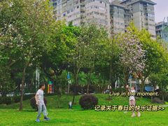 -南宁南湖公园