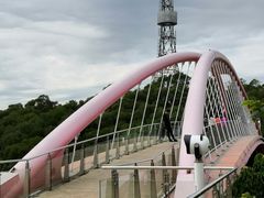 -金鸡山公园
