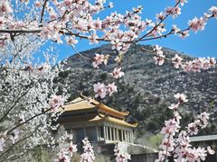-妙峰山风景名胜区