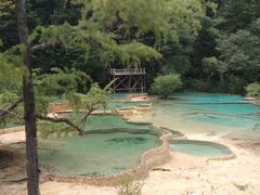 -黄龙山原始森林景区