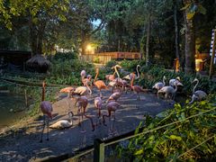 -清迈夜间动物园