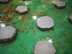 -上海大自然野生昆虫馆(东方明珠·爬宠昆虫探索中心)