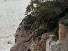 -梅子大排档