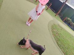 -上海佘山世茂艾美酒店