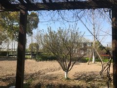 -上海多利农业发展有限公司