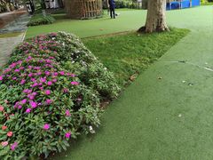 -西安电影制片厂