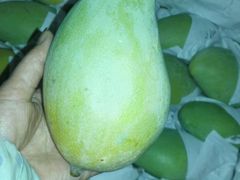 -菜园坝水果市场