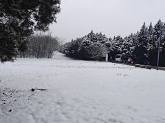 -秦始皇帝陵博物院-丽山园