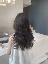 点击看大图 -金棕榈