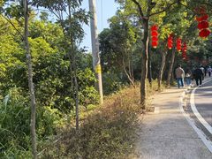 -广州市帽峰山景区