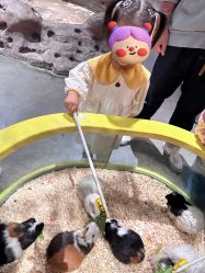 -造物庄园 萌宠纪(苏州湾歌林公园店)