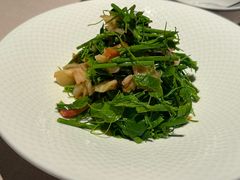 辣木苗拌兰花蚌-漢舍中国菜馆(889广场店)