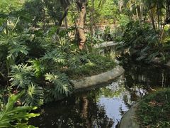 -黄埔荔枝公园