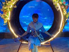 -沈阳海洋探索中心