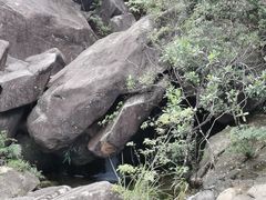 -广州白江湖森林公园