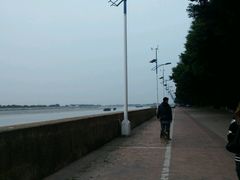 -大湾区中央湿地公园-十九涌