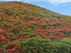 -大围山国家森林公园