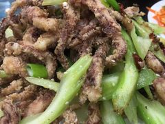 干煸鱿鱼须-鑫来子菜馆